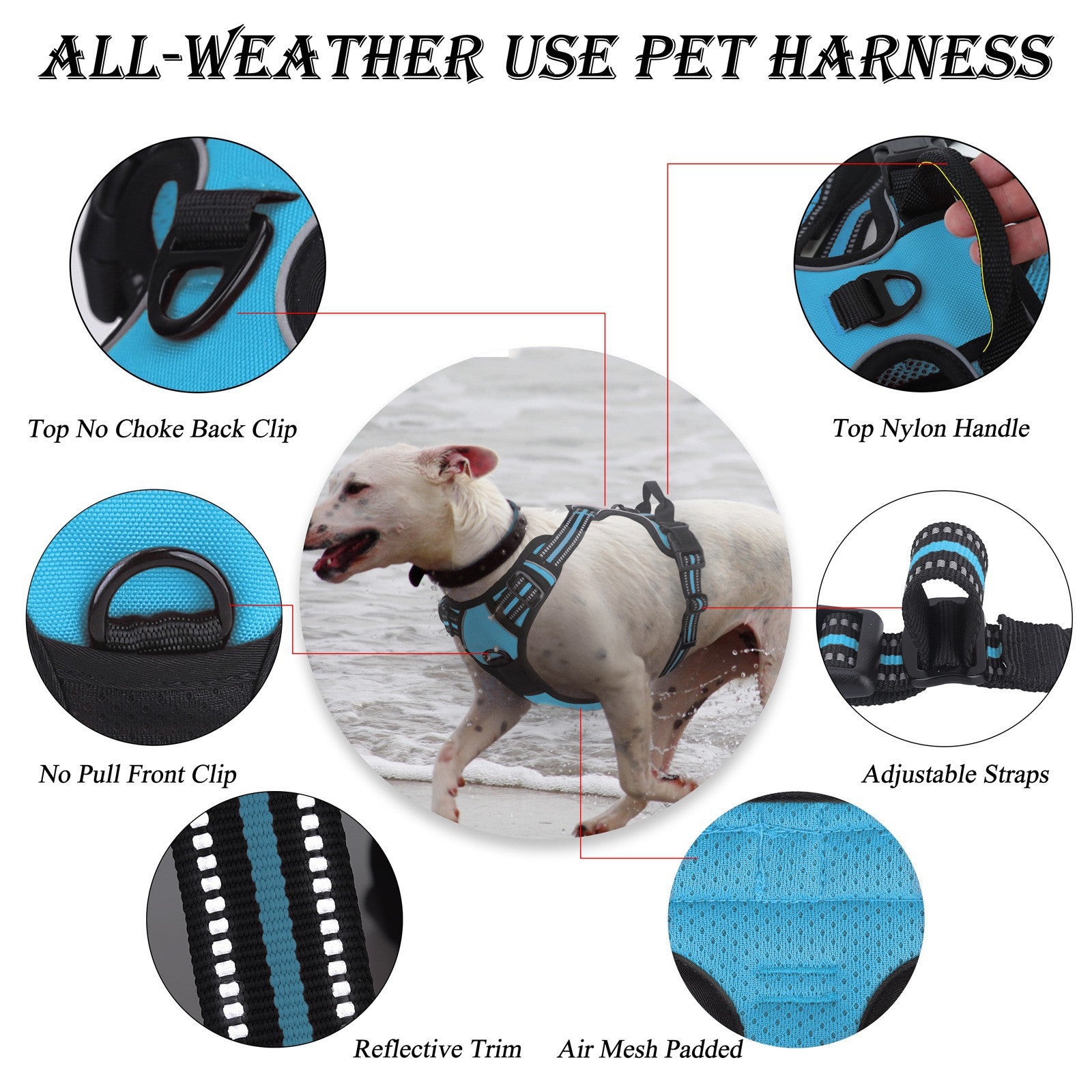 Reflective Step-In Dog Harness and Leash Set - Breathable Soft Mesh Pet Vest - No-Pull Adjustable Escape-Proof Harness for Small Medium Dogs & Cats