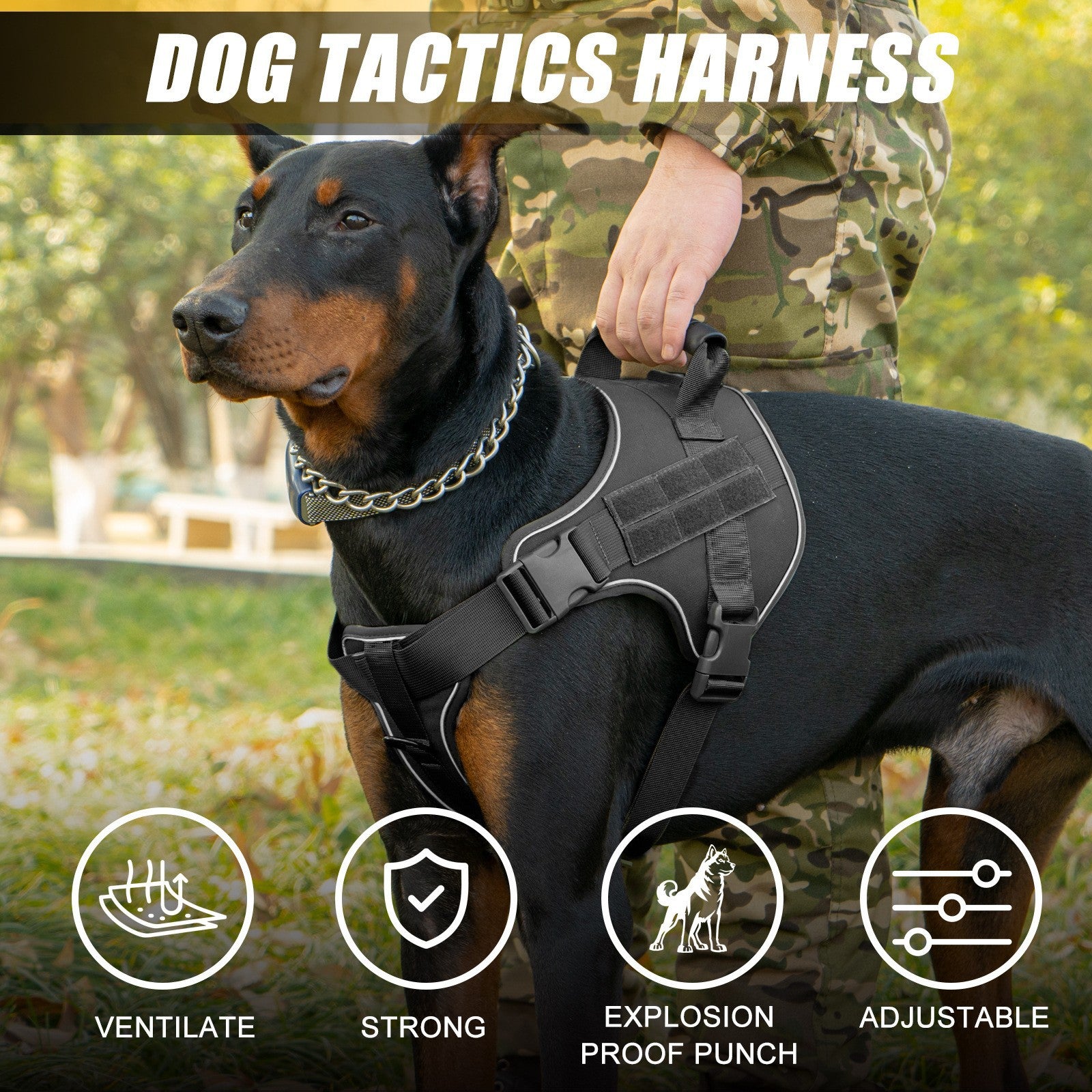 AyalaPet Tactical Dog Harness No-Pull - Heavy Duty Pet Vest with Handle - Adjustable Reflective Escape-Proof Harness for Small, Medium & Large Dogs