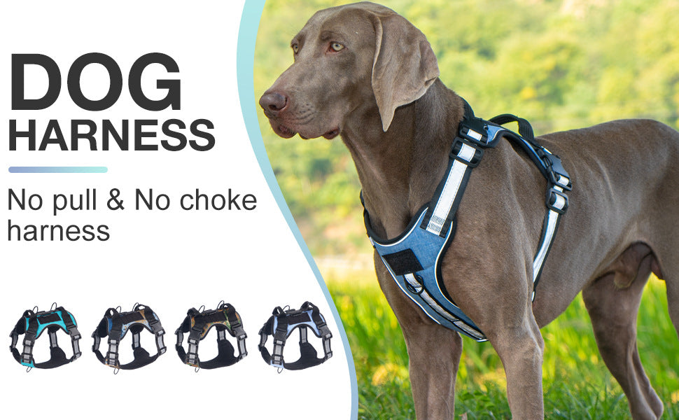 AyalaPet Escape-Proof Dog Harness with Leash - No-Pull Reflective Large Dog Vest Set - Heavy Duty Adjustable Pet Harness for All Breeds (XS to XL)