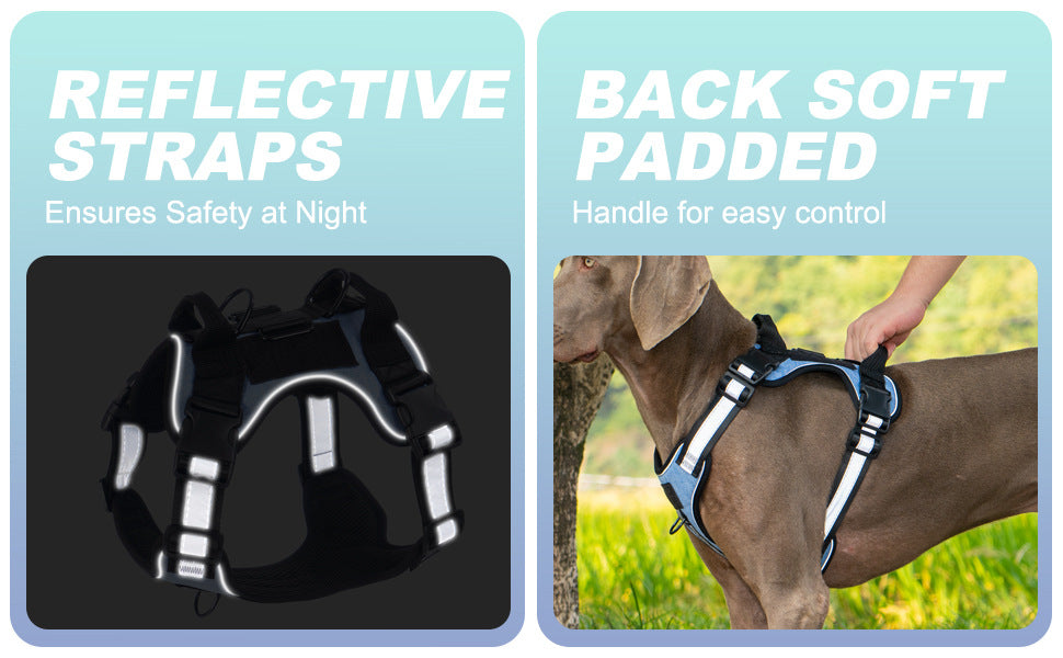 AyalaPet Escape-Proof Dog Harness with Leash - No-Pull Reflective Large Dog Vest Set - Heavy Duty Adjustable Pet Harness for All Breeds (XS to XL)