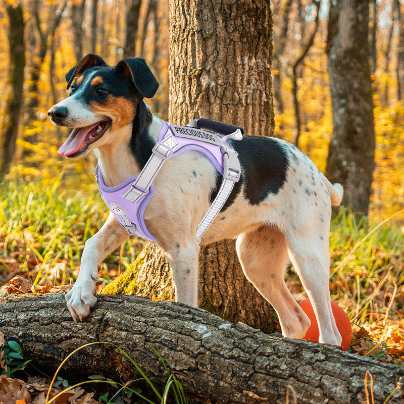 AyalaPet Soft Mesh Dog Harness for Small & Medium Dogs - No-Pull Breathable Pet Vest - Adjustable Reflective Step-In Harness for Puppies & Cats