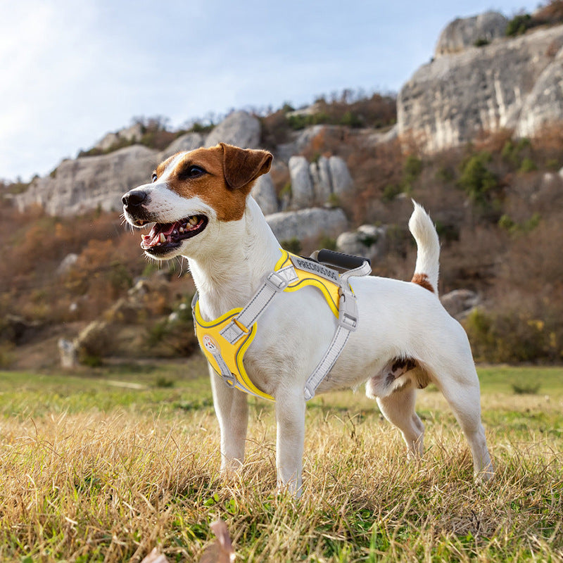 AyalaPet Soft Mesh Dog Harness for Small & Medium Dogs - No-Pull Breathable Pet Vest - Adjustable Reflective Step-In Harness for Puppies & Cats