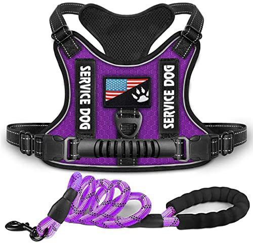 AyalaPet Premium Reflective Service Dog Vest | Escape-Proof Soft Mesh Training Harness